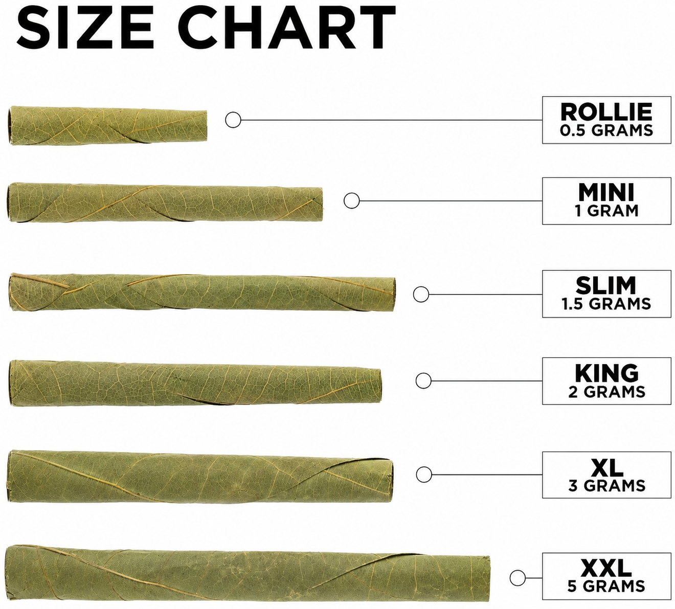 Natural Tendu Leaf Cones – Handcrafted Premium Leaf Cones | Slow Burn | Available in Multiple Sizes