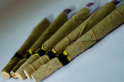 Natural Tendu Leaf Cones – Handcrafted Premium Leaf Cones | Slow Burn | Available in Multiple Sizes